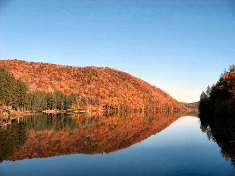 1985 Ford LTD Crown Victoria - Autumn colors reflected in a still lake, with trees lining the distant shore.