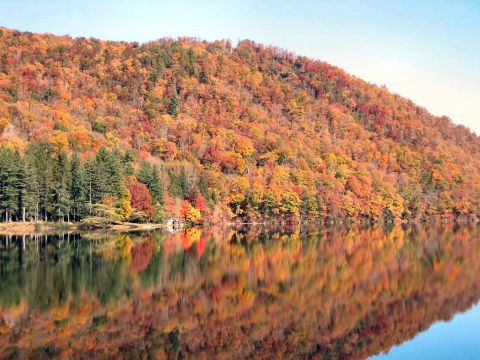 1985 Ford LTD Crown Victoria - A hillside covered in vibrant fall foliage is mirrored in the still waters of a lake.