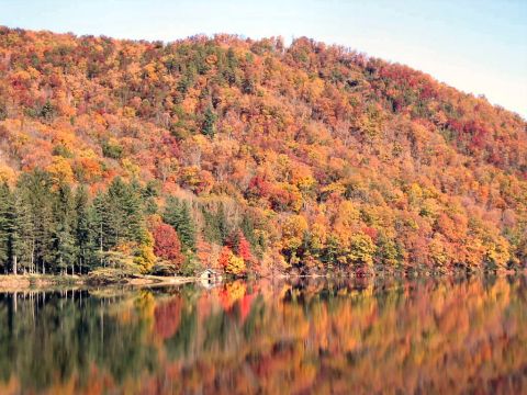 1985 Ford LTD Crown Victoria - Autumn colors paint a hillside overlooking a lake with a small cabin on the bank.
