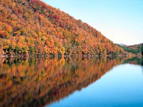 1985 Ford LTD Crown Victoria - The vibrant colors of fall foliage are mirrored in the still waters of a lake.