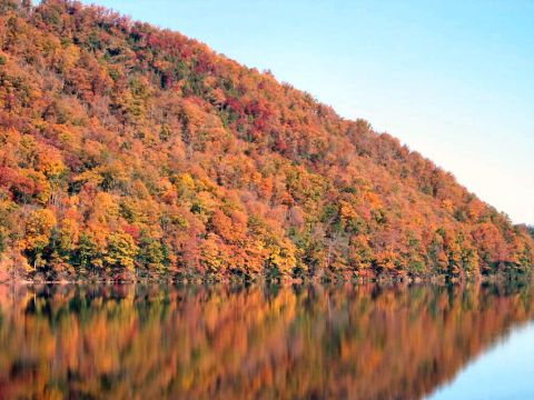 1985 Ford LTD Crown Victoria - A tranquil scene of a tree-covered hill displaying vibrant fall colors, mirrored in the still water below.