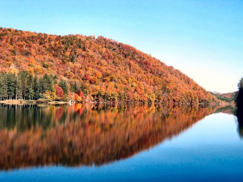 1985 Ford LTD Crown Victoria - A picturesque autumn landscape features a hillside covered in vibrant fall colors, mirrored in the still waters of a lake.