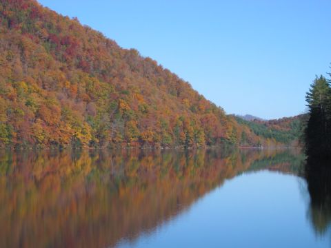1985 Ford LTD Crown Victoria - The vibrant colors of fall foliage are mirrored in the still waters of a lake on a clear day.