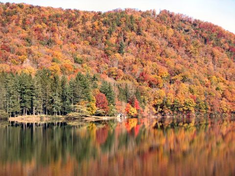 1985 Ford LTD Crown Victoria - Autumn colors reflect vibrantly on the water's surface, with a small cabin among the trees.