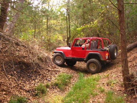 2001 Jeep Wrangler - A red 2001 Jeep Wrangler navigates a wooded trail with a driver visible inside.