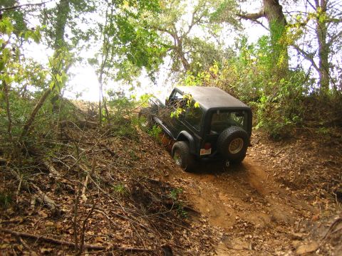 2001 Jeep Wrangler - Jeep Wrangler navigates an off-road trail through a wooded area.