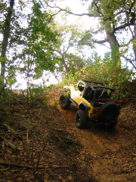 2001 Jeep Wrangler - A yellow Jeep Wrangler navigates an off-road trail surrounded by trees.