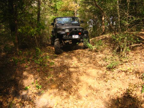 2001 Jeep Wrangler - A black Jeep Wrangler navigates a wooded trail with large off-road tires.