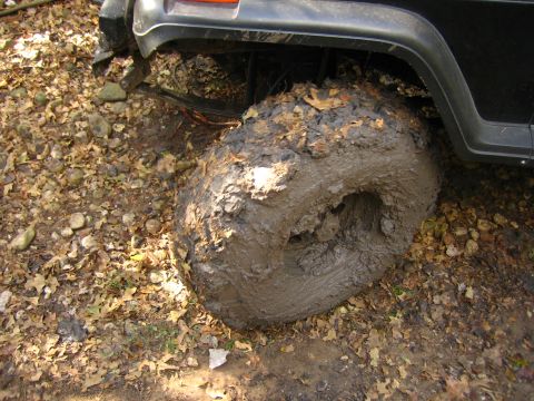 2001 Jeep Wrangler - Vehicle tire deeply embedded in mud and debris on a wooded trail.