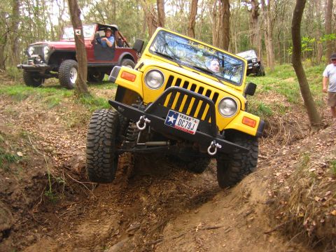 2001 Jeep Wrangler - Two Jeeps navigate a wooded trail with steep inclines and descents.