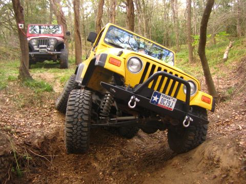 2001 Jeep Wrangler - Two Jeep Wranglers tackle a challenging off-road trail in a wooded area.