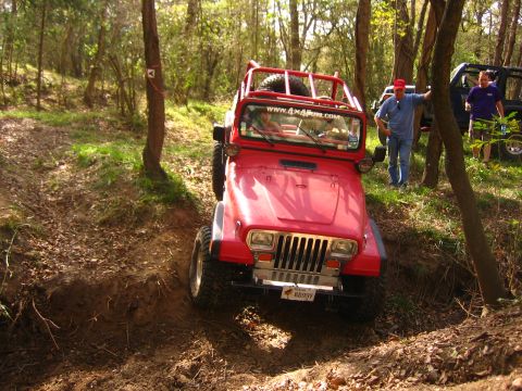 2001 Jeep Wrangler - A red Jeep Wrangler navigates a wooded trail with another Jeep visible in the background.