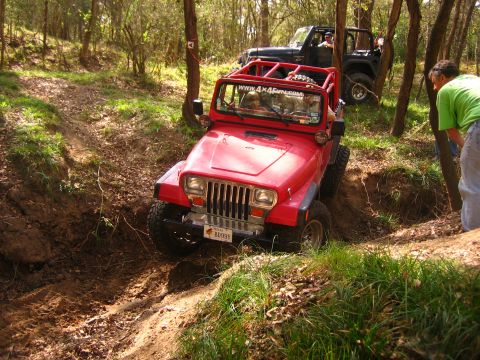 2001 Jeep Wrangler - A red Jeep Wrangler drives off-road with another Jeep behind it, surrounded by trees.