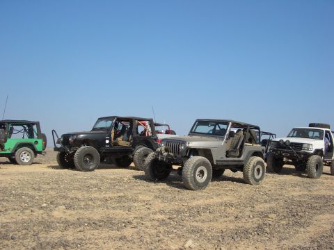 1985 Ford Bronco - A group of off-road vehicles are lined up in a desert environment.