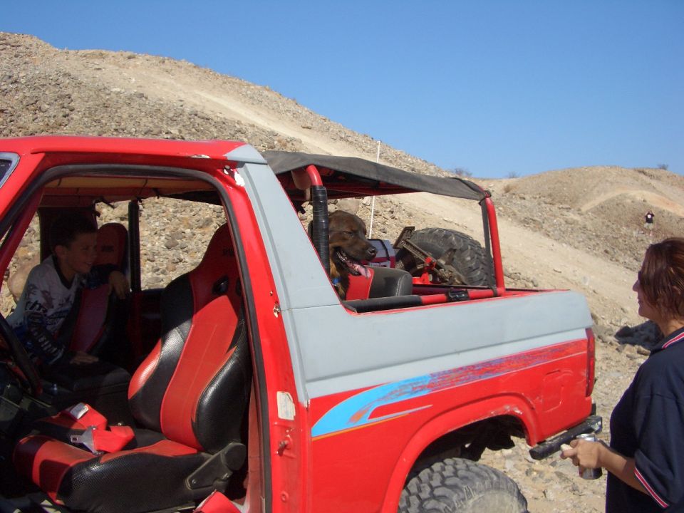 1985 Ford Bronco with red and black interior, dog in back, off-road tires, in a desert landscape