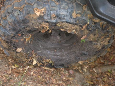 2001 Jeep Wrangler - A vehicle's tire is stuck deep in mud, surrounded by fallen leaves and dirt.