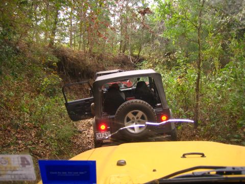 2001 Jeep Wrangler - Two Jeeps navigate a wooded trail with one vehicle in the foreground and another in the background.