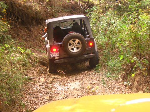 2001 Jeep Wrangler - A black Jeep Wrangler navigates a wooded dirt trail, with another vehicle visible in the foreground.