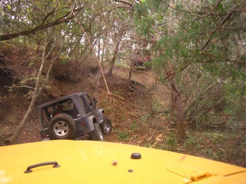 2001 Jeep Wrangler - A black Jeep Wrangler navigates a steep, wooded trail, with another vehicle visible in the foreground.