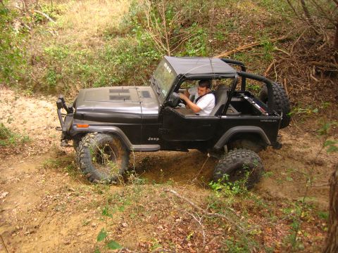2001 Jeep Wrangler - Jeep Wrangler navigating an off-road trail with dense foliage on the sides.