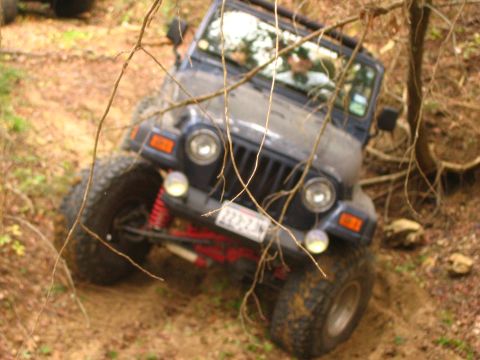 2001 Jeep Wrangler - A blue Jeep Wrangler navigates a muddy, wooded trail, with branches obscuring the view.