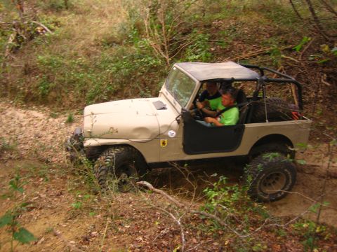 2001 Jeep Wrangler - A tan Jeep CJ navigates a dirt path surrounded by dense foliage.