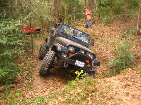 2001 Jeep Wrangler - Two Jeeps navigate a wooded trail with fallen leaves on the ground.