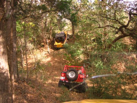 2001 Jeep Wrangler - Two off-road vehicles navigate a steep, wooded trail with fallen leaves on the ground.