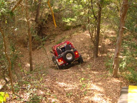 2001 Jeep Wrangler - Red 2001 Jeep Wrangler navigating a wooded trail with fallen leaves on the ground.