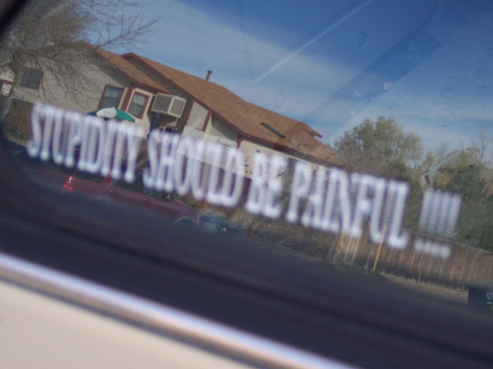 Sticker on a car window reads 'STUPIDITY SHOULD BE PAINFUL'. A red car is visible in the background