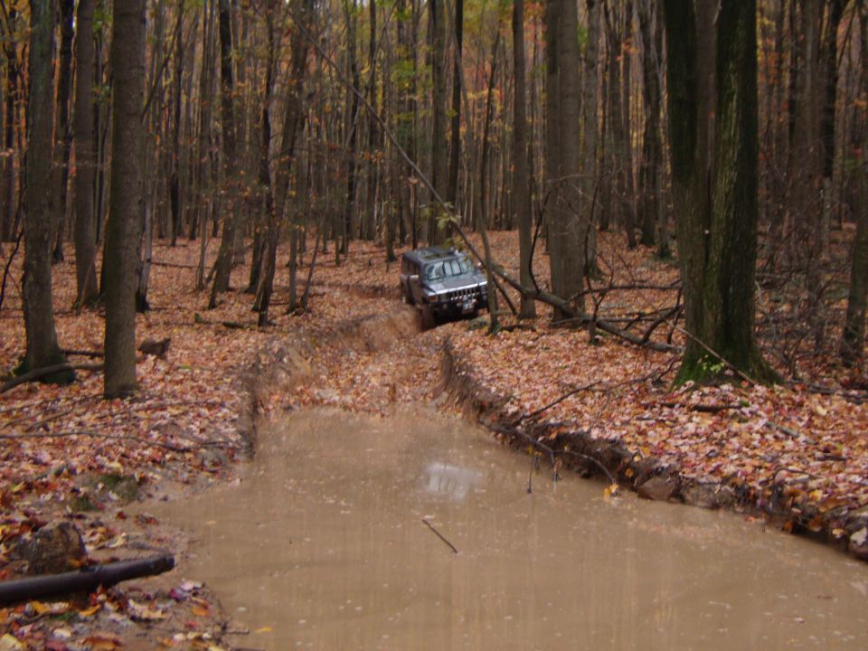Dark SUV navigating a muddy forest trail with fallen leaves