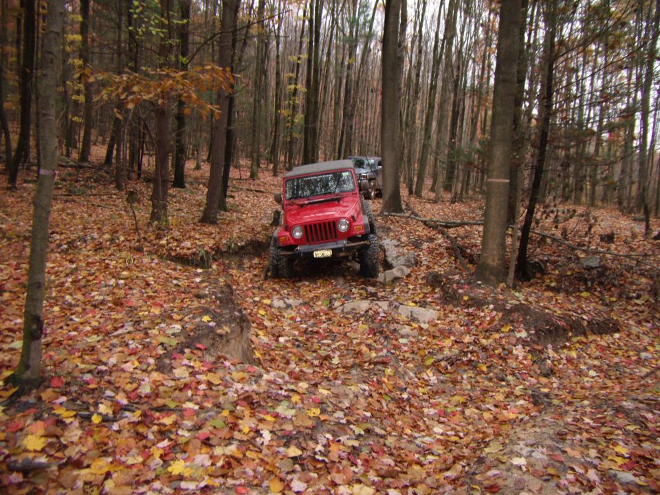 red Jeep Wrangler on a dirt trail in a forest with fallen leaves, another Jeep behind it