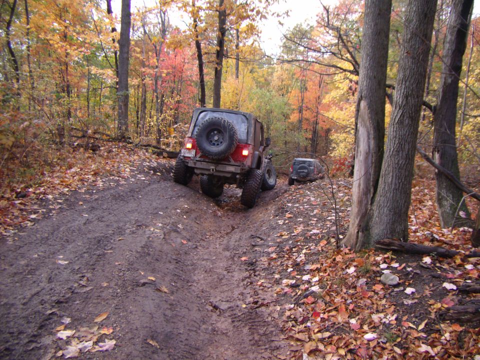 Two Jeep Wranglers driving on a muddy, leaf-covered trail in a forest during autumn