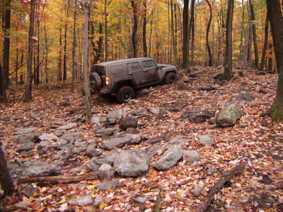 Gray SUV with spare tire on rear, navigating rocky terrain in a forest with autumn leaves