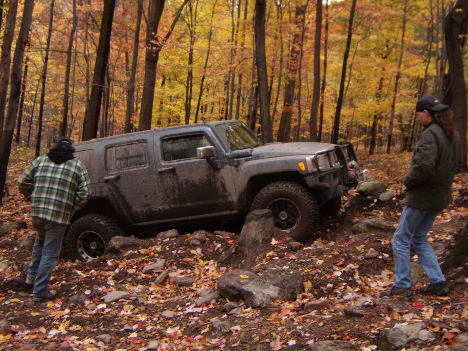 Gray SUV navigating rocky terrain in autumn forest. Supermotors.net logo visible