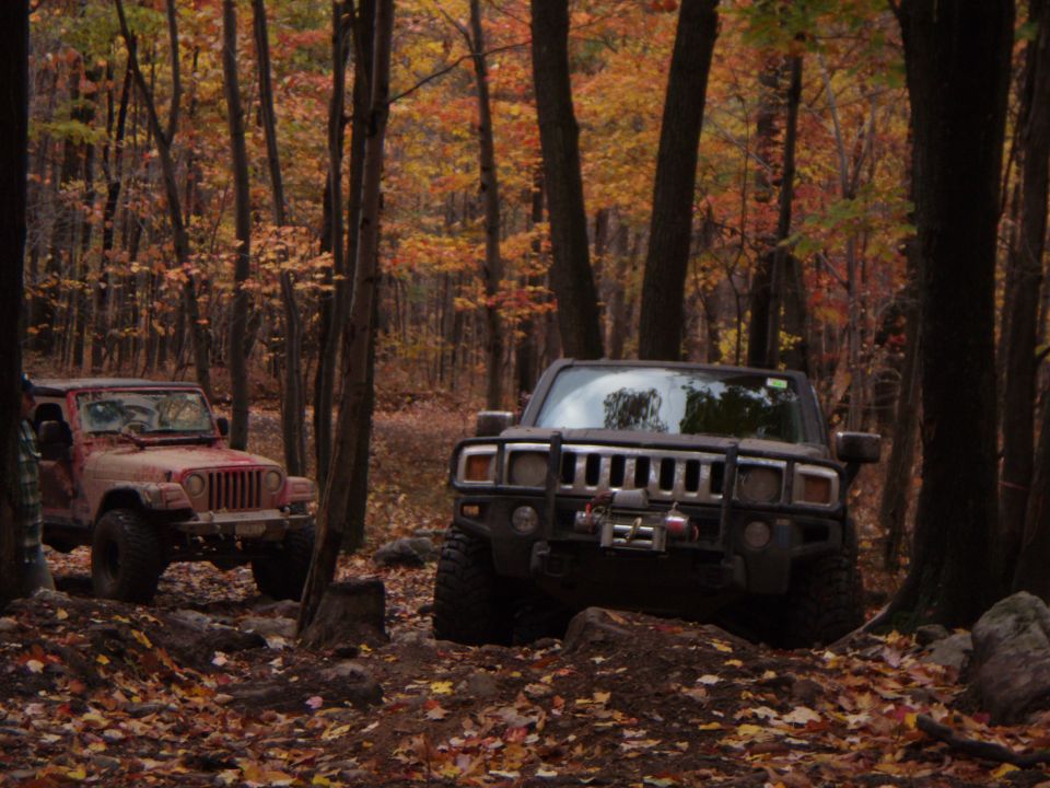Dark Hummer H2 and red Jeep Wrangler parked on a dirt path in an autumn forest