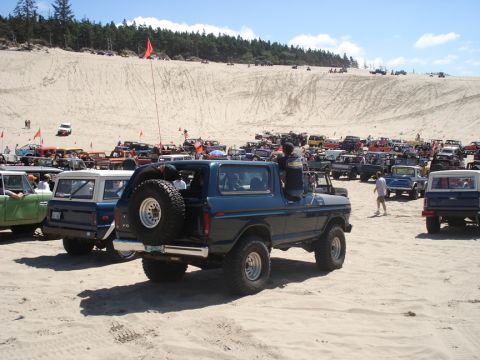 1979 Ford Bronco - A large gathering of off-road vehicles are parked on a sandy beach with dunes and trees in the background under a clear blue sky.