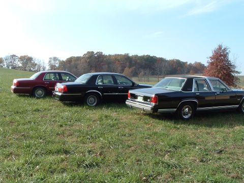 2001 Mercury Grand Marquis - Three Mercury Grand Marquis sedans are parked in a grassy field under a clear sky.