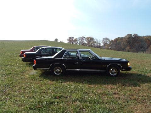 2001 Mercury Grand Marquis - Three sedans are parked in a field on a sunny day.