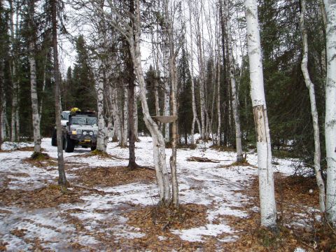 2000 Ford E350 - Off-road vehicle navigates a snowy woodland path during winter.