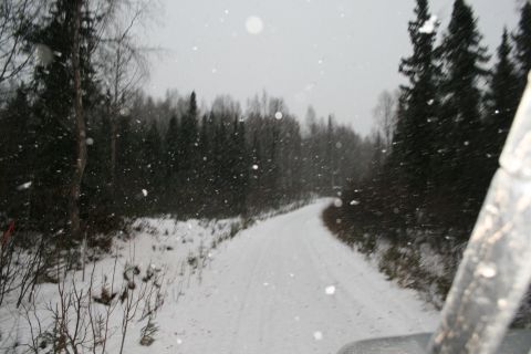 2003 Jeep TJ - Driving on a snow-covered road through a forest with falling snow visible.
