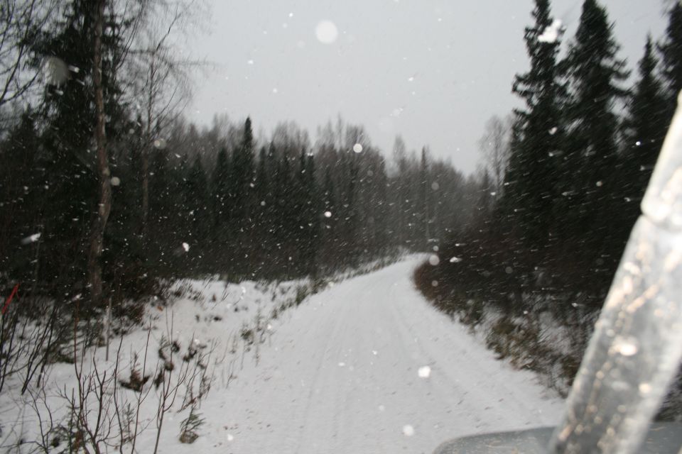 Part of a vehicle interior with a roll bar, looking out at a snowy forest road during snowfall