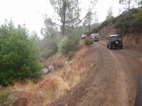 1995 Ford Bronco - Multiple SUVs navigate a dusty, wooded trail on an overcast day.