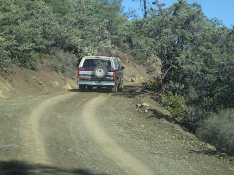 1995 Ford Bronco - A Ford Bronco drives on a dusty, winding road through a dry, wooded area.
