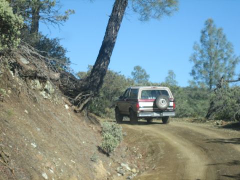 1995 Ford Bronco - A tan and maroon 1995 Ford Bronco navigates a dusty dirt road through a wooded area.