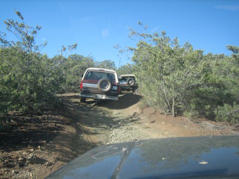 1995 Ford Bronco - Two Ford Broncos navigate a rough dirt path surrounded by arid vegetation under a clear blue sky.