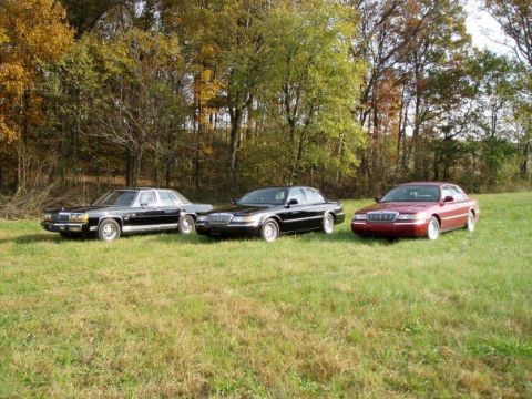2001 Mercury Grand Marquis - Three Mercury Grand Marquis sedans are parked in a grassy field during autumn.