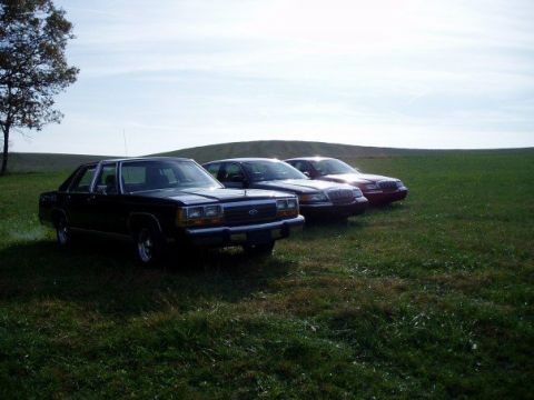 2001 Mercury Grand Marquis - Three sedans are lined up in a field under a cloudy sky.