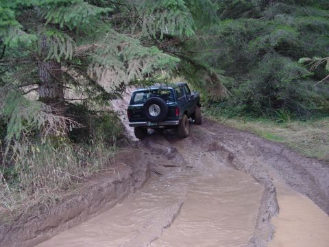 1979 Ford Bronco - 1979 Ford Bronco navigates a challenging muddy path surrounded by trees.