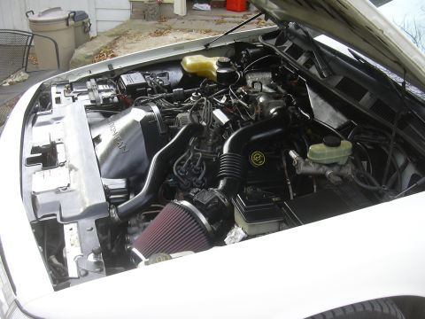 1997 Ford Crown Victoria - The engine bay of a Ford Crown Victoria, an aftermarket air intake system and a custom fan shroud.